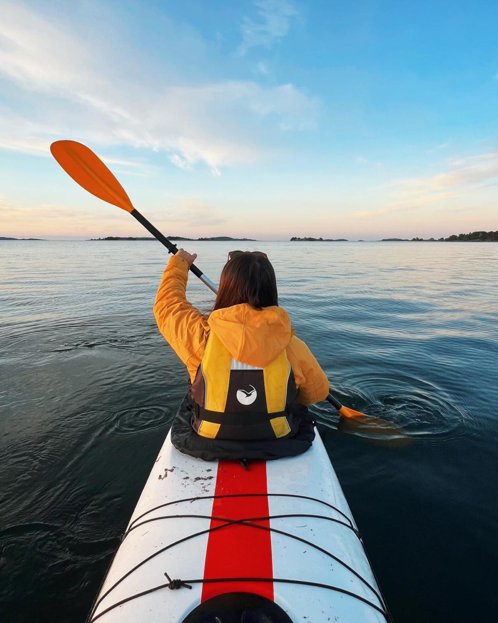 Braennskaer Cottages & Glamping パルガス エクステリア 写真